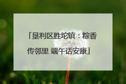 垦利区胜坨镇：粽香传邻里 端午话安康
