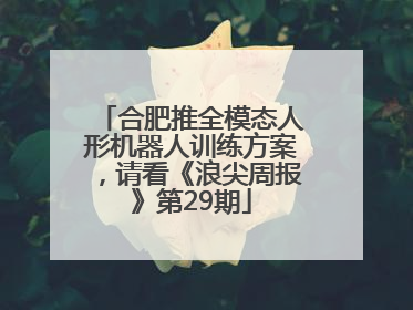合肥推全模态人形机器人训练方案，请看《浪尖周报》第29期