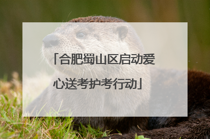 合肥蜀山区启动爱心送考护考行动
