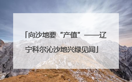向沙地要“产值”——辽宁科尔沁沙地兴绿见闻
