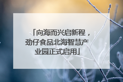 向海而兴启新程，劲仔食品北海智慧产业园正式启用