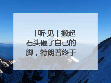 听·见｜搬起石头砸了自己的脚，特朗普终于“慌”了！