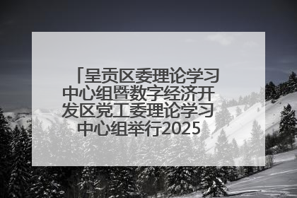 呈贡区委理论学习中心组暨数字经济开发区党工委理论学习中心组举行2025年第七次学习会议