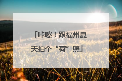 咔嚓！跟福州夏天拍个“荷”照
