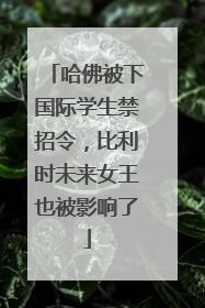 哈佛被下国际学生禁招令，比利时未来女王也被影响了