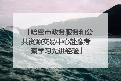 哈密市政务服务和公共资源交易中心赴豫考察学习先进经验