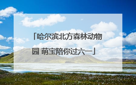 哈尔滨北方森林动物园 萌宝陪你过六一