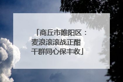 商丘市睢阳区：麦浪滚滚战正酣 干群同心保丰收