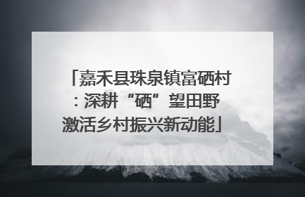 嘉禾县珠泉镇富硒村：深耕“硒”望田野 激活乡村振兴新动能