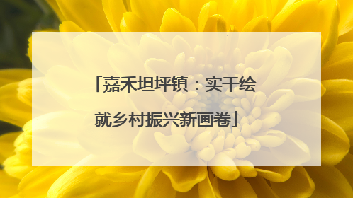 嘉禾坦坪镇：实干绘就乡村振兴新画卷