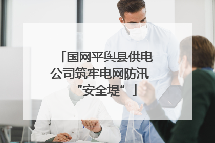 国网平舆县供电公司筑牢电网防汛“安全堤”
