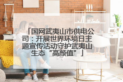 国网武夷山市供电公司：开展世界环境日主题宣传活动守护武夷山生态“高颜值”
