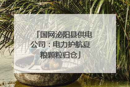 国网泌阳县供电公司：电力护航夏粮颗粒归仓
