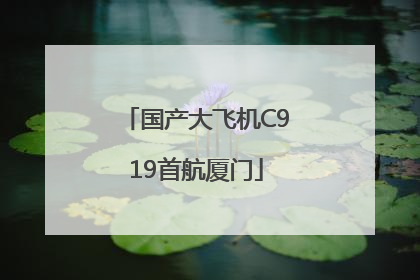 国产大飞机C919首航厦门