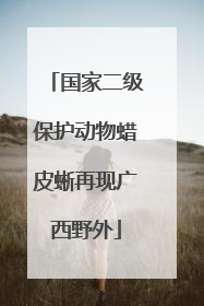 国家二级保护动物蜡皮蜥再现广西野外