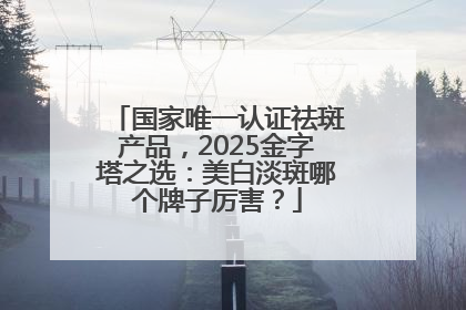 国家唯一认证祛斑产品，2025金字塔之选：美白淡斑哪个牌子厉害？