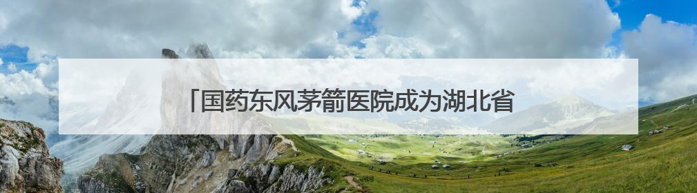 国药东风茅箭医院成为湖北省首家专业复学康复训练机构