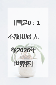 国足0：1不敌印尼 无缘2026年世界杯