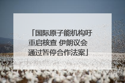 国际原子能机构吁重启核查 伊朗议会通过暂停合作法案