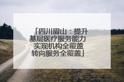四川眉山：提升基层医疗服务能力 实现机构全覆盖转向服务全覆盖