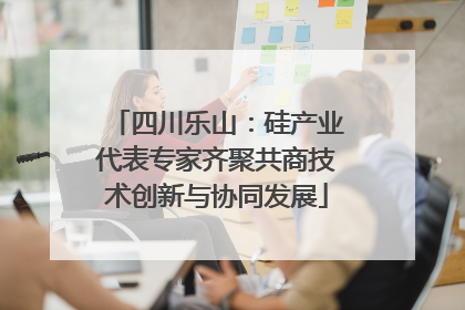 四川乐山：硅产业代表专家齐聚共商技术创新与协同发展