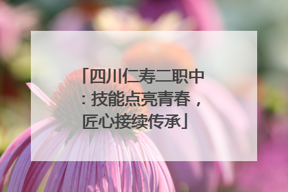 四川仁寿二职中：技能点亮青春，匠心接续传承