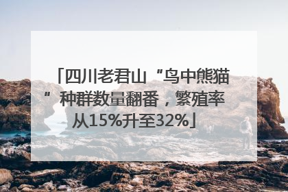 四川老君山“鸟中熊猫”种群数量翻番，繁殖率从15%升至32%