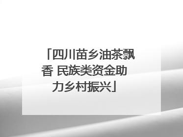 四川苗乡油茶飘香 民族类资金助力乡村振兴