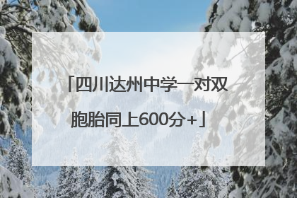 四川达州中学一对双胞胎同上600分+