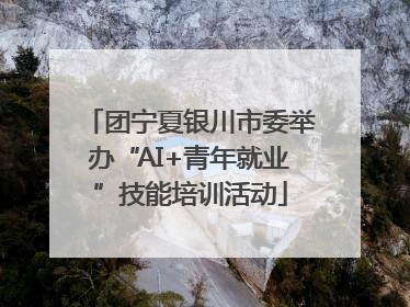 团宁夏银川市委举办“AI+青年就业”技能培训活动