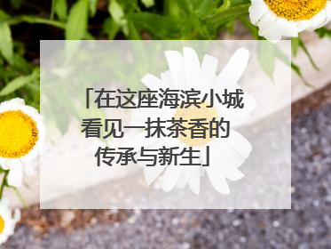 在这座海滨小城 看见一抹茶香的传承与新生