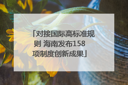对接国际高标准规则 海南发布158项制度创新成果