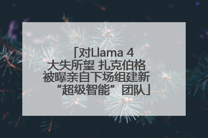 对Llama 4大失所望 扎克伯格被曝亲自下场组建新“超级智能”团队