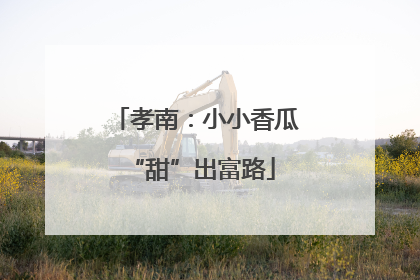 孝南：小小香瓜 “甜”出富路