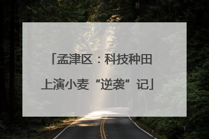 孟津区：科技种田 上演小麦“逆袭”记