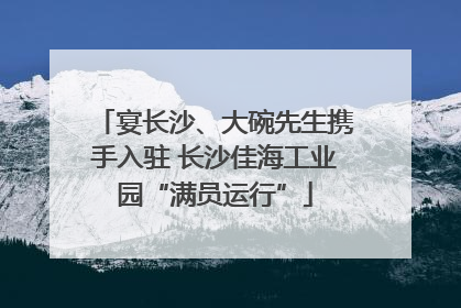 宴长沙、大碗先生携手入驻 长沙佳海工业园“满员运行”