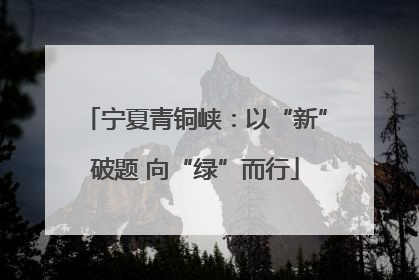 宁夏青铜峡：以“新”破题 向“绿”而行