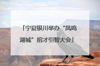 宁夏银川举办“凤鸣湖城”招才引智大会