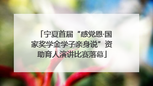 宁夏首届“感党恩·国家奖学金学子亲身说”资助育人演讲比赛落幕