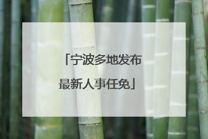 宁波多地发布最新人事任免