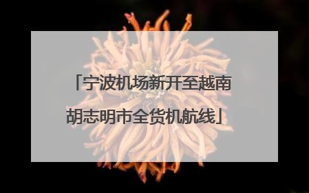 宁波机场新开至越南胡志明市全货机航线