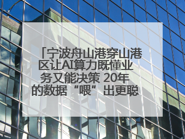 宁波舟山港穿山港区让AI算力既懂业务又能决策 20年的数据“喂”出更聪明的港口
