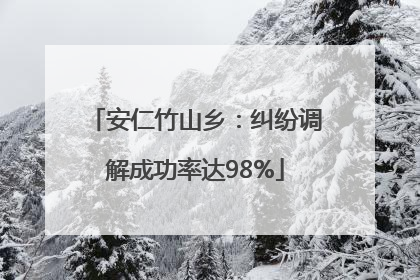 安仁竹山乡：纠纷调解成功率达98%