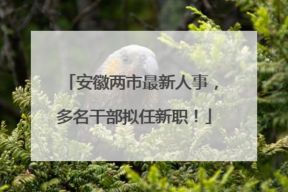 安徽两市最新人事，多名干部拟任新职！