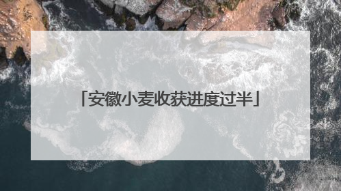 安徽小麦收获进度过半
