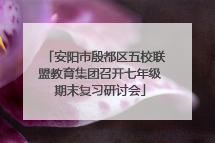 安阳市殷都区五校联盟教育集团召开七年级期末复习研讨会