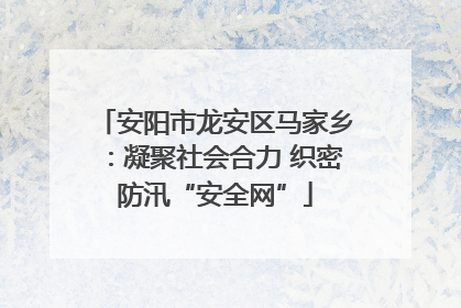 安阳市龙安区马家乡：凝聚社会合力 织密防汛“安全网”