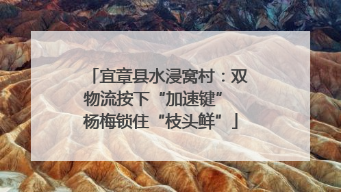 宜章县水浸窝村：双物流按下“加速键” 杨梅锁住“枝头鲜”