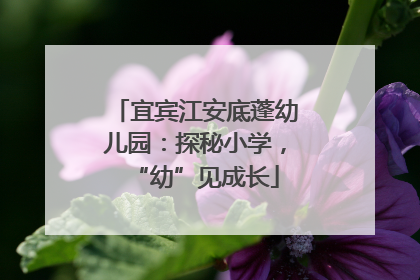 宜宾江安底蓬幼儿园：探秘小学，“幼”见成长