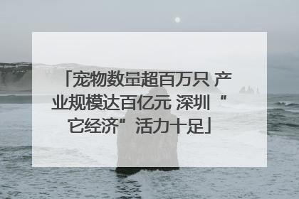 宠物数量超百万只 产业规模达百亿元 深圳“它经济”活力十足